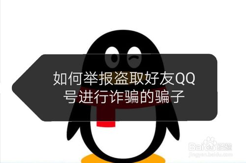 怎么举报盗取好友QQ号进行诈骗的骗子