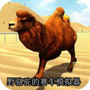 野骆驼的赛车模拟器最新版
