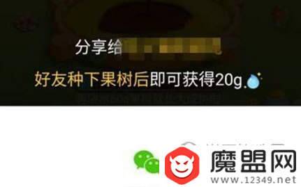 拼多多果园