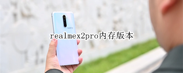realmex2pro内存多大