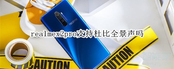 realmex2pro支不支持杜比全景声