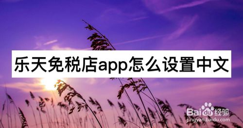 乐天免税店app如何设置中文？