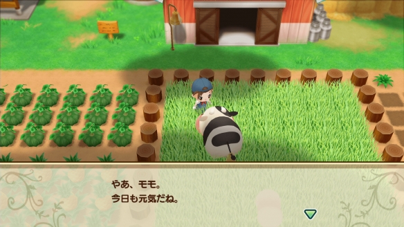牧场物语再会矿石镇节日隐藏事件有哪些