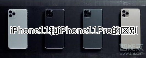 iPhone11和iPhone11Pro有什么区别
