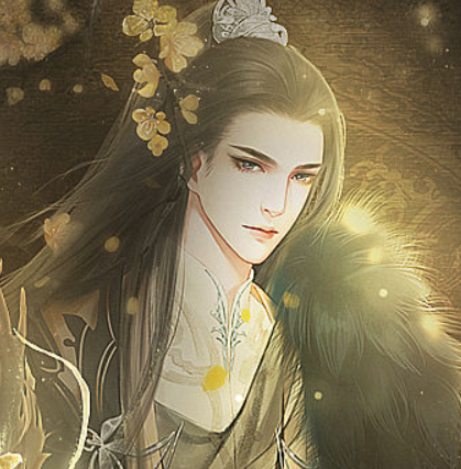 橙光替嫁之王后秘史app