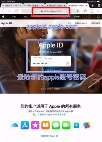 战歌竞技场怎么进入国际服？