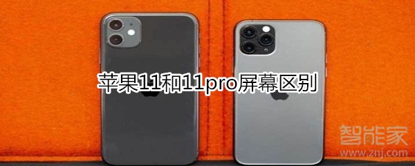 苹果11和11pro屏幕有什么区别