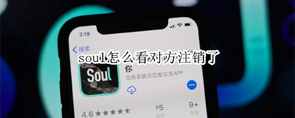 soul如何查看对方注销了