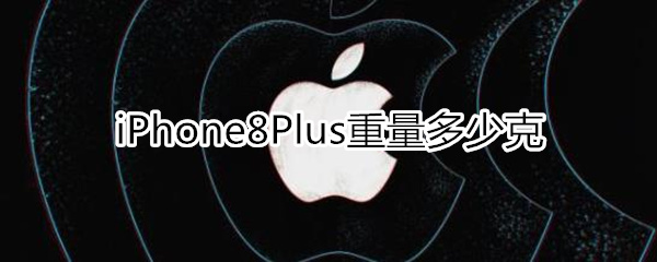 8p重量是多少