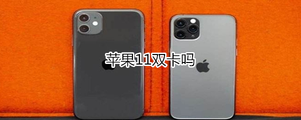 苹果11是双卡吗