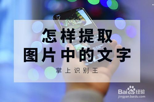 如何提取出图片上的文字？