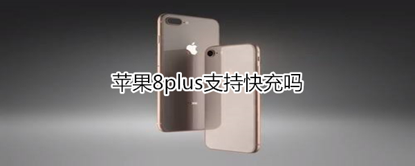 苹果8plus可以快充吗