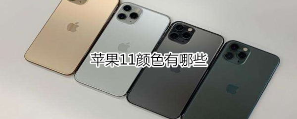 苹果11有什么颜色