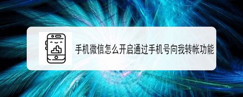 手机微信如何开启通过手机号向我转帐功能