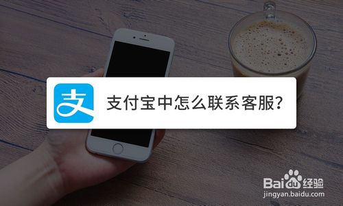 如何联系支付宝客服？