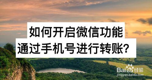 怎么开启微信功能通过手机号进行转账