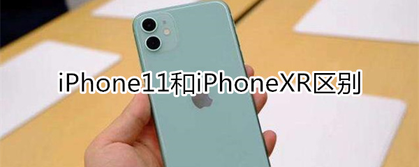 iPhone11和xr有什么不同？
