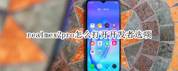 realmex2pro开发者选项在哪打开？