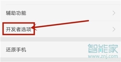 realmex2pro开发者选项在哪打开？