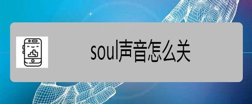 怎么关soul的声音