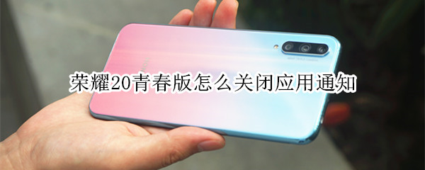 荣耀20青春版应用通知在哪关？