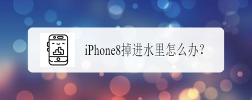 iPhone8掉进水里怎么解决