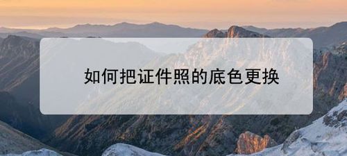 怎么换证件照底色？