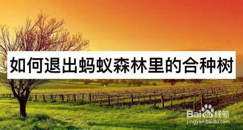 怎么退出蚂蚁森林里的合种树
