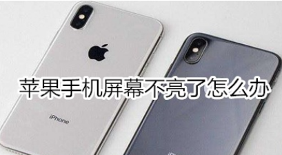 苹果手机屏幕黑屏怎么办？