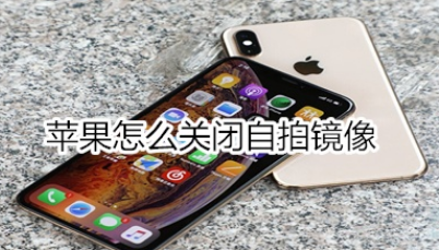 苹果如何关闭自拍镜像？