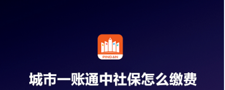 城市一账通中社保如何缴费