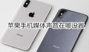 苹果手机媒体声音在什么地方设置