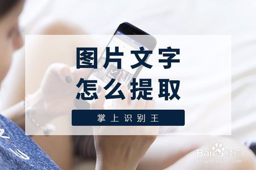 掌上识别王图片文字怎么提取