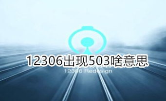 12306出现503怎么回事