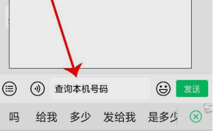 在手机停机的情况下如何查询本机号码