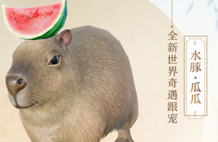 剑网3水豚瓜瓜怎么样？