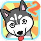 养只二哈不容易2app