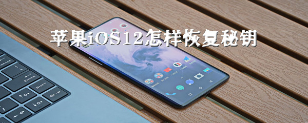 苹果iOS12怎么恢复秘钥