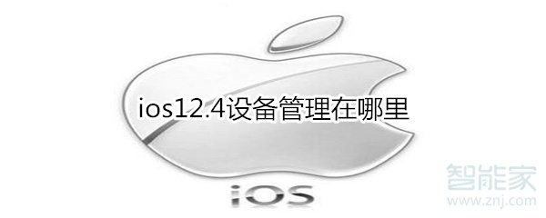 ios12.4设备管理在什么位置