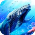 蓝鲸海洋生物模拟3Dapp