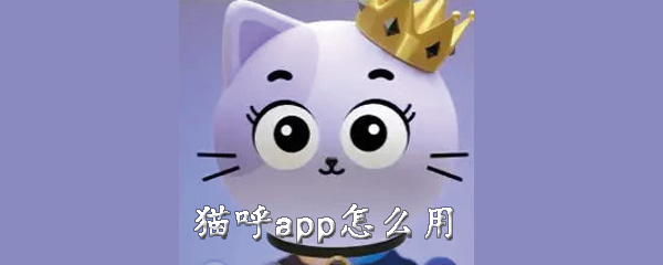 猫呼app如何使用