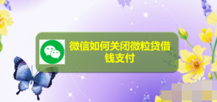 微信怎么关闭微粒贷借钱支付？