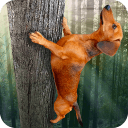 野蛮腊肠犬APP