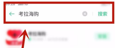 如何在手机里下载考拉海购