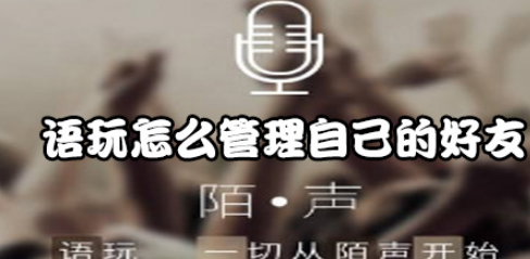 语玩如何管理自己的好友？