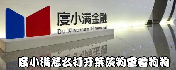 度小满如何打开莱茨狗查看狗狗