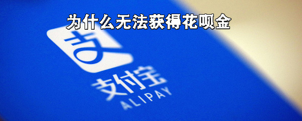 无法获得花呗金怎么回事