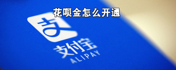 如何开通支付宝花呗金