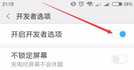 手机怎么开启开发者模式