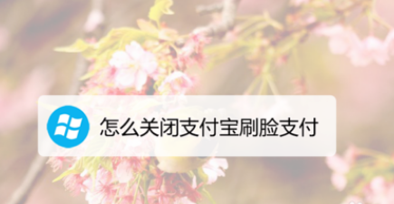 支付宝怎么关闭刷脸支付？